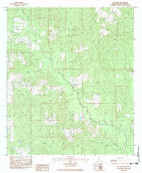 Big Swamp 1983 topographic map thumbnail