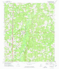 Bogue Chitto 1972 topographic map thumbnail