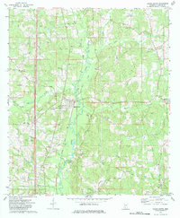 Bogue Chitto 1972 topographic map thumbnail