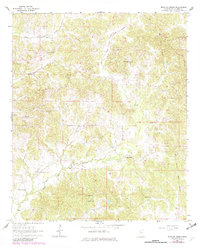 Bowling Green 1964 topographic map thumbnail