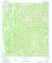 Brewer 1963 topographic map preview