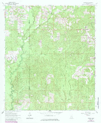 Brewer 1963 topographic map thumbnail