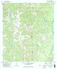 Brown Town 1982 topographic map thumbnail