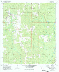 Brown Town 1982 topographic map thumbnail