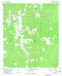 Brown Town 1982 topographic map thumbnail