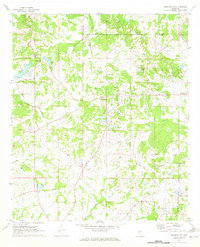 Brownsville 1971 topographic map thumbnail