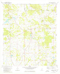Brownsville 1980 topographic map thumbnail