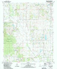 Buena Vista 1987 topographic map thumbnail
