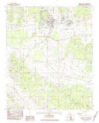 Calhoun City 1983 topographic map thumbnail
