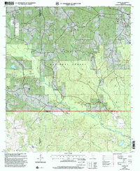 Carnes 2000 topographic map thumbnail