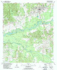 Carthage 1989 topographic map thumbnail
