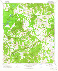 Cayuga 1963 topographic map thumbnail