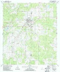 Centreville 1988 topographic map thumbnail