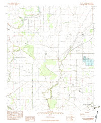 Curtis Station 1983 topographic map thumbnail