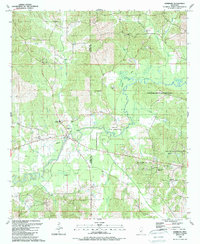 Edinburg 1989 topographic map thumbnail