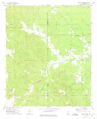 Fearns Springs 1973 topographic map thumbnail