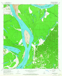 Grand Gulf 1963 topographic map thumbnail