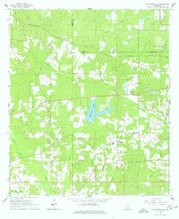 Hattiesburg SW 1965 topographic map thumbnail
