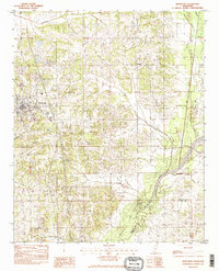 Hernando 1982 topographic map thumbnail