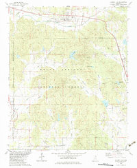 Hickory Flat 1982 topographic map thumbnail