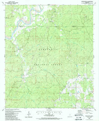 Homochitto 1988 topographic map thumbnail