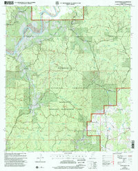 Homochitto 2000 topographic map thumbnail
