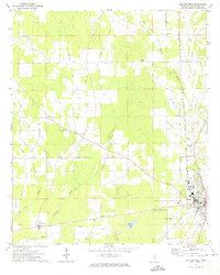 Houston West 1972 topographic map thumbnail