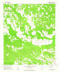 Lauderdale NW 1962 topographic map thumbnail