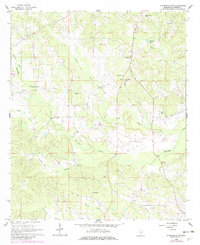 Lauderdale NW 1962 topographic map thumbnail