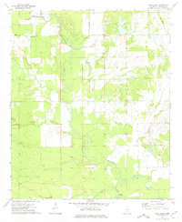 Lynn Creek 1973 topographic map thumbnail