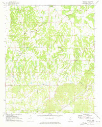 Marianna 1971 topographic map thumbnail
