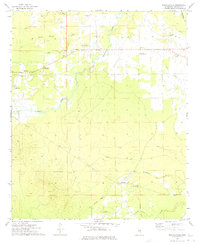 Mashulaville 1973 topographic map thumbnail
