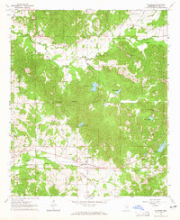 McAdams 1964 topographic map thumbnail