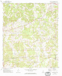 Mendenhall SE 1971 topographic map thumbnail
