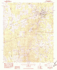 Morton 1982 topographic map thumbnail