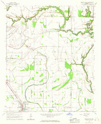 Mound Bayou 1966 topographic map thumbnail