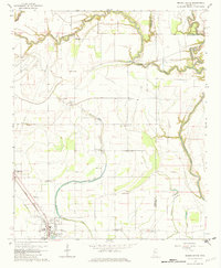 Mound Bayou 1966 topographic map thumbnail