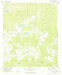 Murdock Lake 1975 topographic map thumbnail