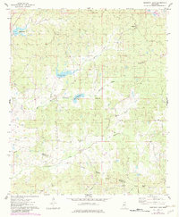 Murdock Lake 1975 topographic map preview