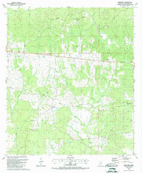 Newtonia 1988 topographic map thumbnail