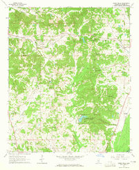 Owens Wells 1964 topographic map thumbnail
