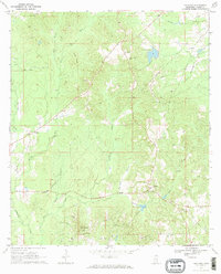 Paulding 1970 topographic map thumbnail