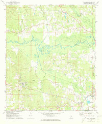 Pearl River 1972 topographic map thumbnail