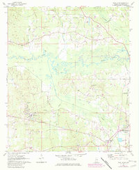 Pearl River 1972 topographic map thumbnail