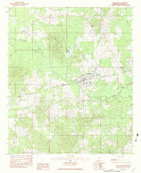 Pelahatchie 1982 topographic map thumbnail