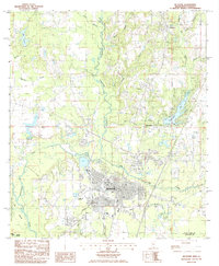 Picayune 1985 topographic map thumbnail