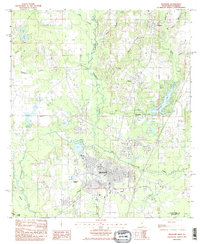 Picayune 1985 topographic map thumbnail