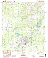 Picayune 1997 topographic map thumbnail