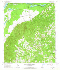 Pine Ridge 1963 topographic map thumbnail