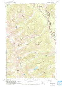 Pinnacle 1964 topographic map thumbnail